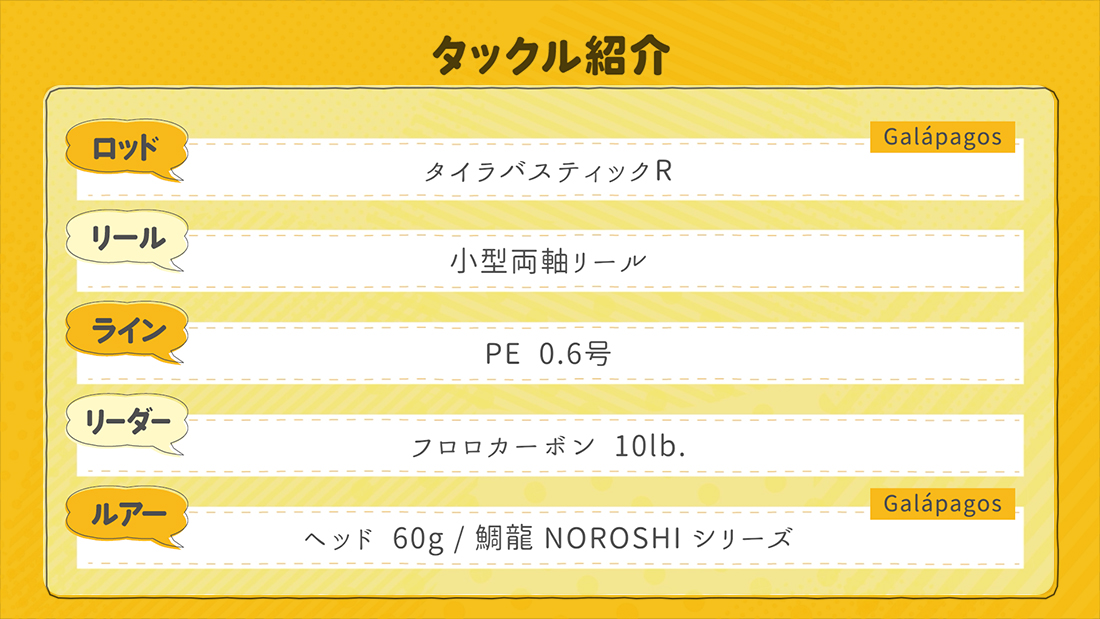 今回の放送内容