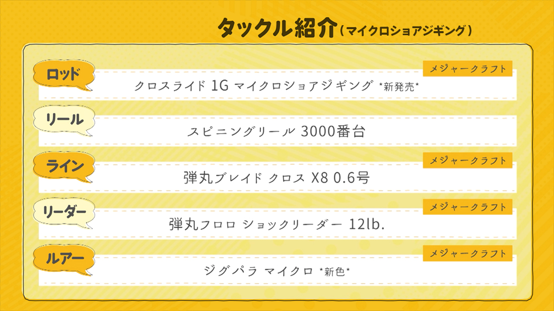 今回の使用タックル