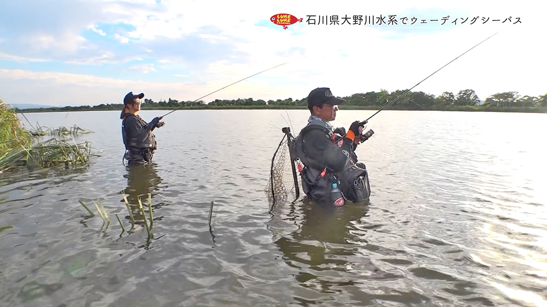 次回の放送内容
