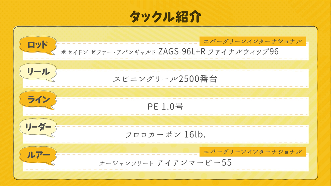 今回の使用タックル